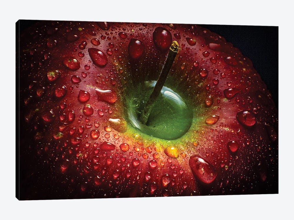 Red Apple by Aida Ianeva 1-piece Canvas Print