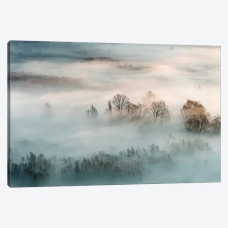Winter Fog Canvas Print #OXM4933} by Marco Galimberti Canvas Artwork