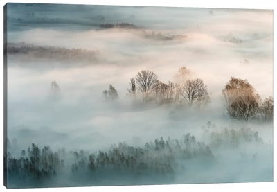 Winter Fog Canvas Art Print