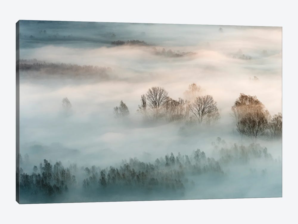 Winter Fog by Marco Galimberti 1-piece Canvas Print
