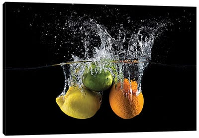 Citrus Splash Canvas Art Print