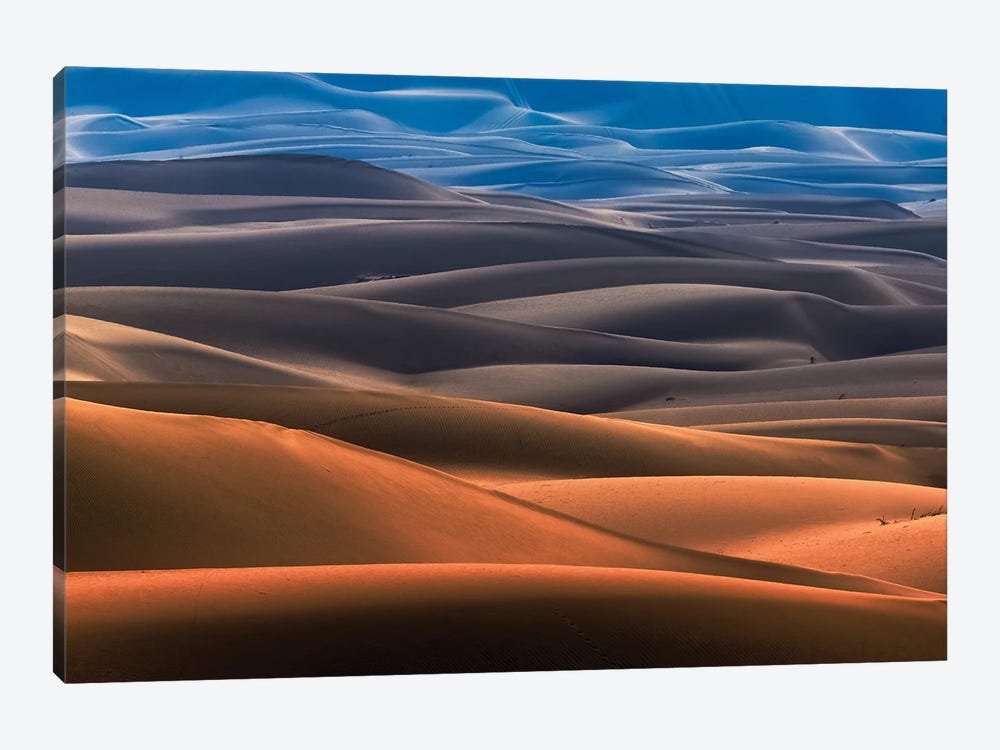 Dream Desert Canvas Wall Art by Mohammad Shefaa | iCanvas
