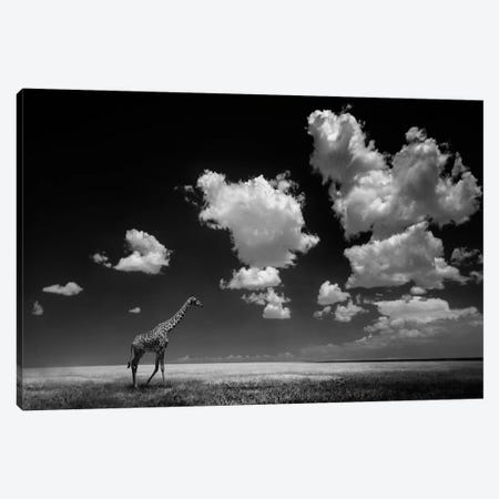 Gone With The Clouds Canvas Print #OXM497} by Alberto Ghizzi Panizza Canvas Artwork