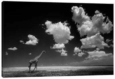 Gone With The Clouds Canvas Art Print - Giraffe Art