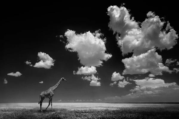 Africa: Gone With The Clouds by Alberto Ghizzi Panizza