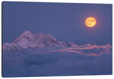 Super Moon Rises Canvas Art Print