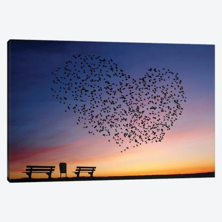 Love Is In The Air Canvas Print #OXM5004} by Annemieke Canvas Wall Art