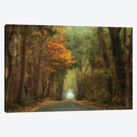 Country Road Canvas Print #OXM5005} by Anton van Dongen Canvas Wall Art