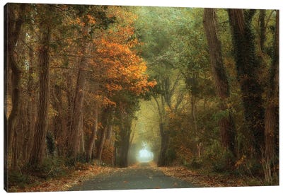 Country Road Canvas Art Print
