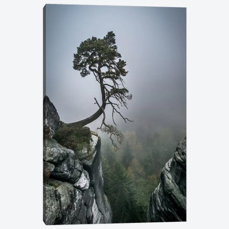 Against The Odds Canvas Print #OXM504} by Andreas Wonisch Canvas Artwork