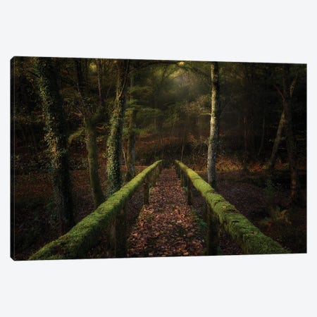 The Way To The Forest Canvas Print #OXM5050} by Chencho Mendoza Canvas Art