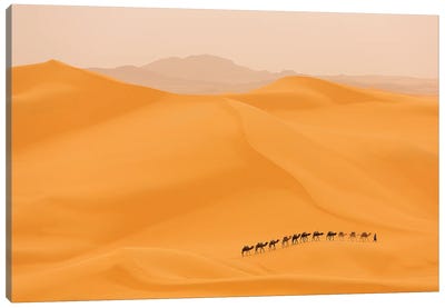 Camels Caravan In Sahara Canvas Art Print