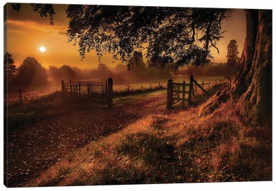Autumn Sunrise Canvas Art Print