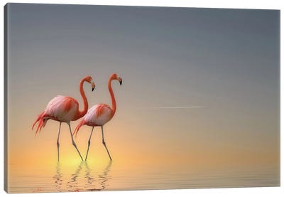 Serenity II Canvas Art Print - Flamingo Art