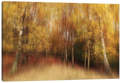 Autumn Impression Canvas Art Print