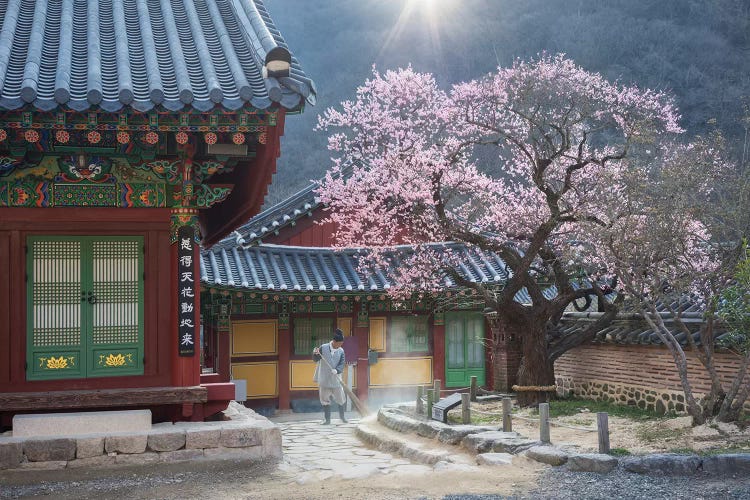 The Scent Of Spring by Jaeyoun Ryu wall art