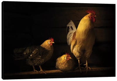 Farm Animals Canvas Art Print
