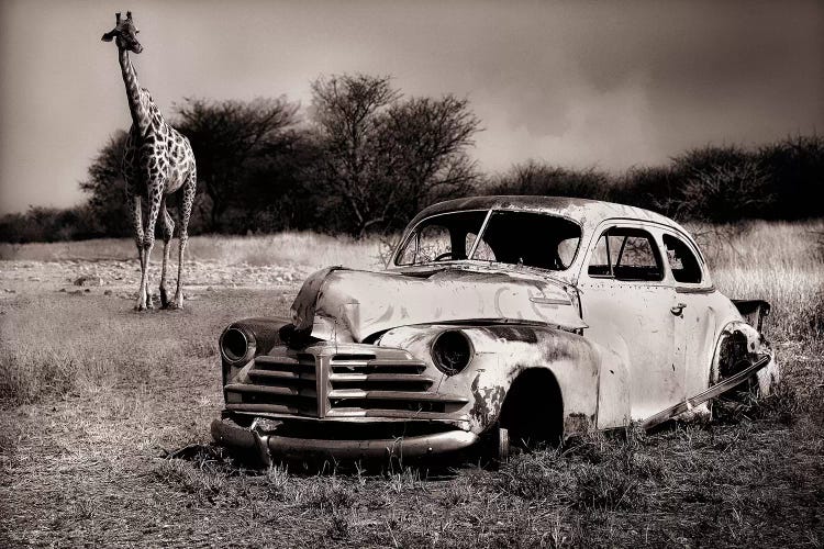 Acquaintance by Marc Apers wall art