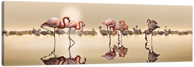Flamingos Canvas Art Print - Golden Hour
