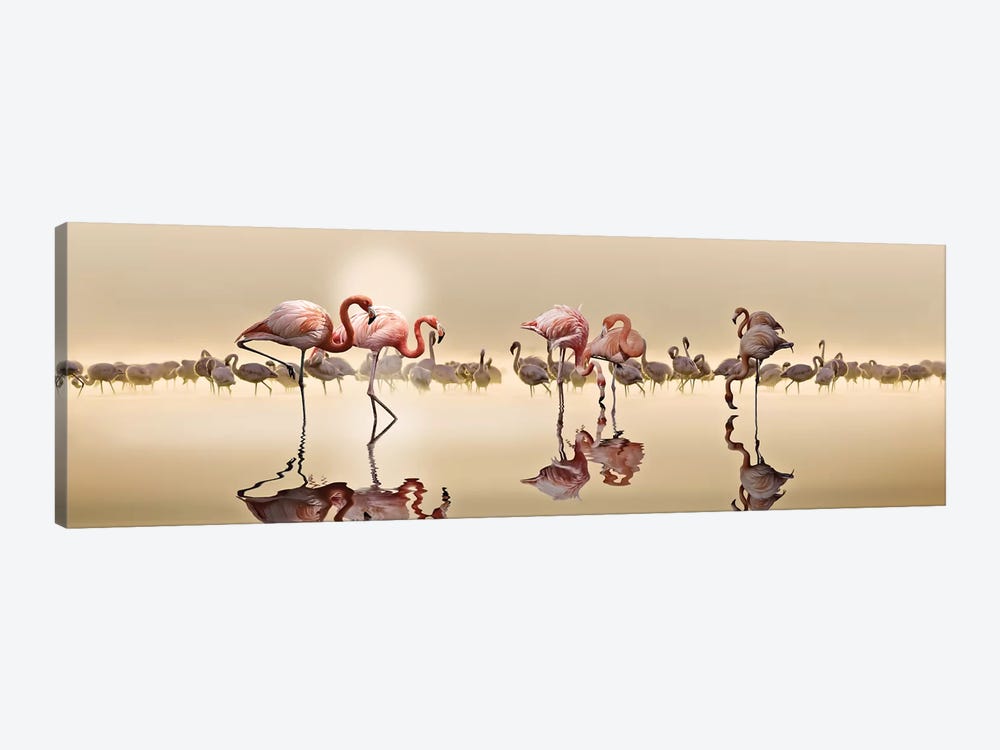 Flamingos by Nasser Osman 1-piece Canvas Print