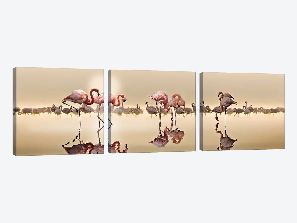 Flamingos 3-piece Canvas Art Print