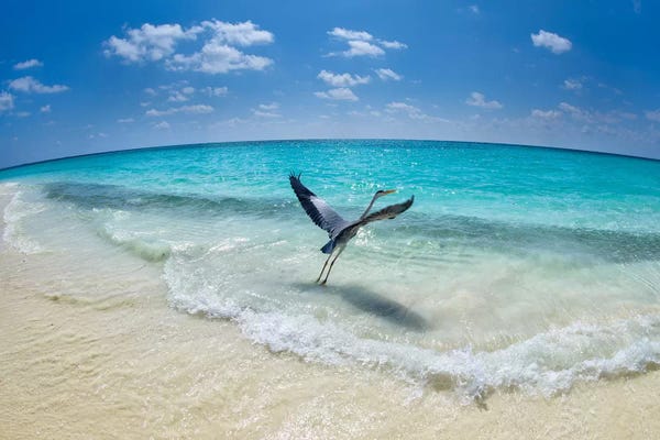 Take-Off
