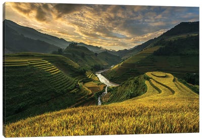 Riceterrace ( Vietnam) Canvas Art Print