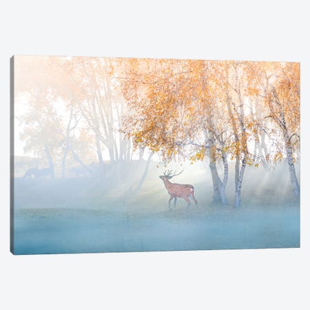 Elk Lost In Mist Canvas Print #OXM5404} by Simoon Canvas Artwork