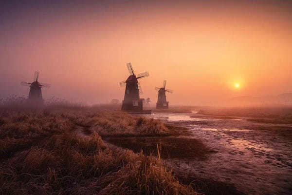 Watermills & Windmills: Foggy Morning by Tiger Seo