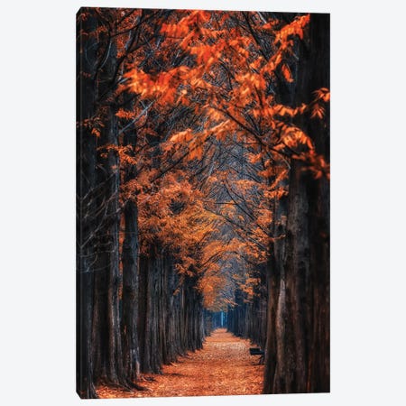 Way To Winter Canvas Print #OXM5430} by Tiger Seo Canvas Wall Art