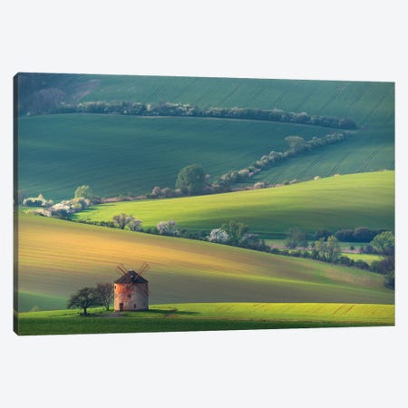 About Forms & Line'S Canvas Print #OXM5458} by Vlad Sokolovsky Canvas Wall Art