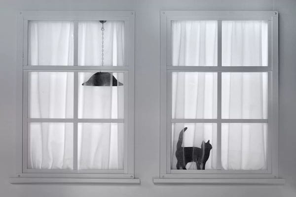 Windows: This Is Also Holland by Wilma Wijers Smeets