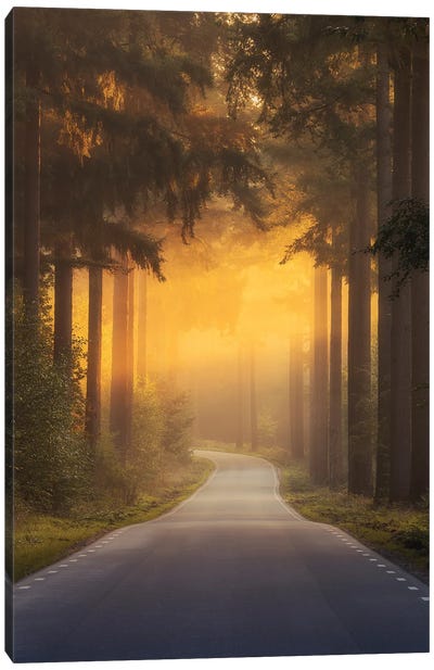 Pursuing The Light At The End Of The Road Canvas Art Print