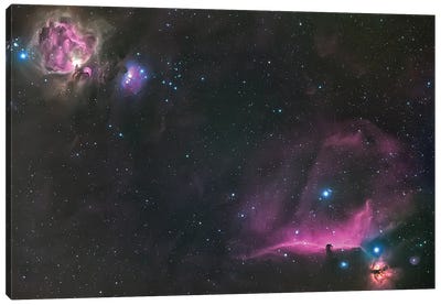 Orion Nebula And The Horsehead Canvas Art Print