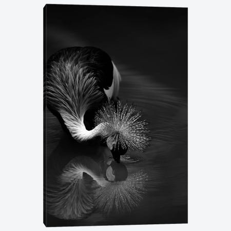 The Reflection Canvas Print #OXM5490} by C.S. Tjandra Canvas Wall Art