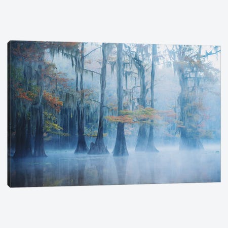 Foggy Swamp Morning Canvas Print #OXM5500} by Aijing H. Canvas Art