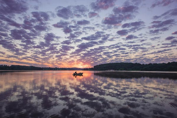 All Purples: Morning by Austin