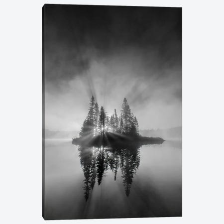 Breaking Through Canvas Print #OXM5550} by Donald Luo Canvas Print