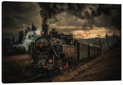 Gold Digger Train Canvas Art Print - 1x Collection