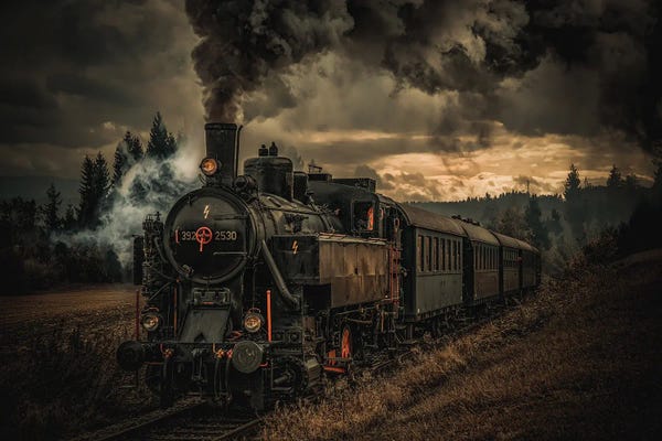 By Land: Gold Digger Train by Hubert Bichler