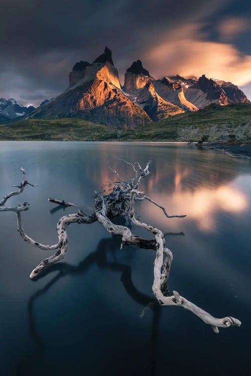Torres Del Paine by Karol Nienartowicz wall art
