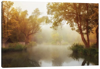 Foggy Autumn Canvas Art Print