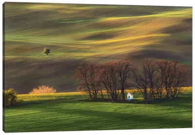 Contemplation In The Fields Canvas Art Print