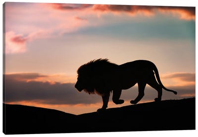 Sunset In The Serengeti Canvas Art Print - Wild Cat Art