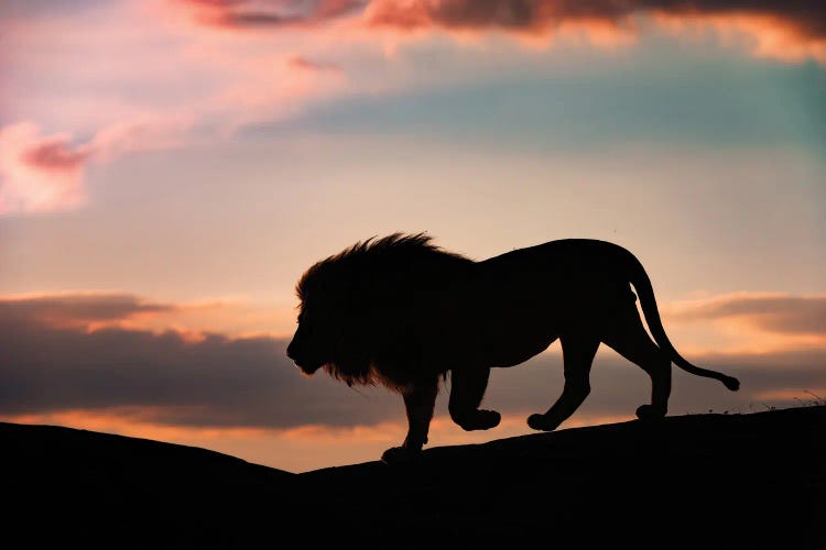 Sunset In The Serengeti
