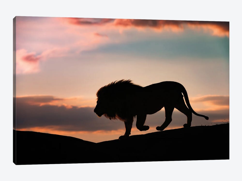 Sunset In The Serengeti by Mario Vigo 1-piece Canvas Print