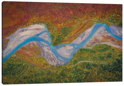 Matanuska River Canvas Art Print