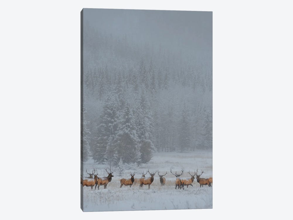 Standing In Storm by Yun Wang 1-piece Canvas Print