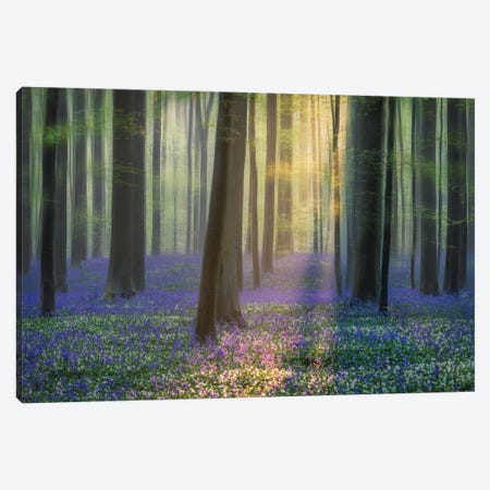 Daydreaming Of Bluebells Canvas Print #OXM5777} by Adrian Popan Canvas Wall Art