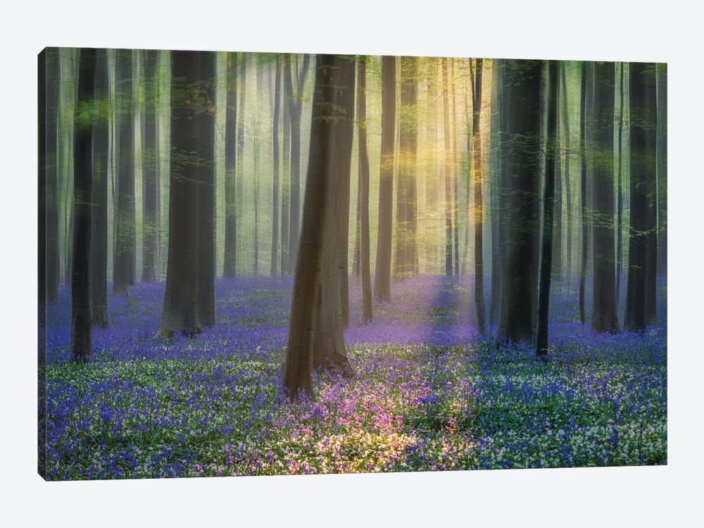 Daydreaming Of Bluebells by Adrian Popan 1-piece Canvas Wall Art